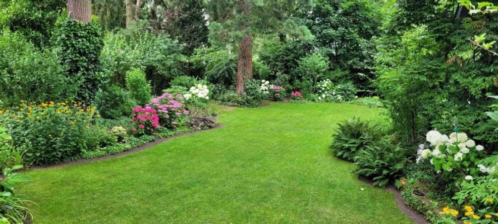 Blick in den Garten Einfamilienhaus Darmstadt