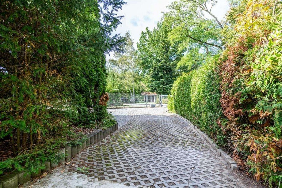 Zufahrt Ferienhaus Reinheim