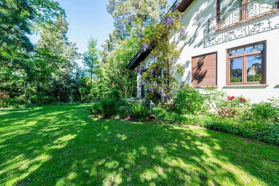 Blick in den Garten Einfamilienhaus Darmstadt