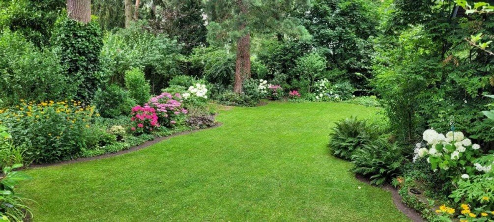 Blick in den Garten Einfamilienhaus Darmstadt