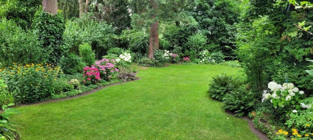 Blick in den Garten Einfamilienhaus Darmstadt