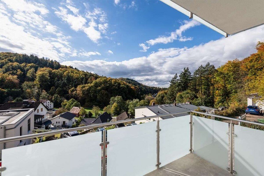 Blick von Terrasse Doppelhaushlfte Heppenheim (Bergstrae)
